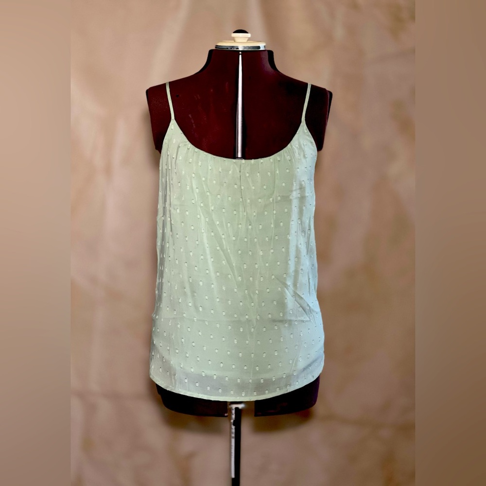 The Limited Mint Green textured Sleeveless Blouse
